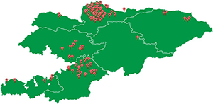 Карта поставок в Кыргызстан